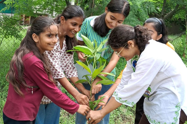 Planting Saplings